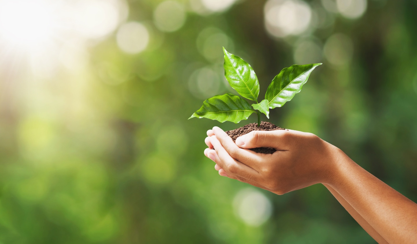 media.ecomondo-marittimomilanomarittima