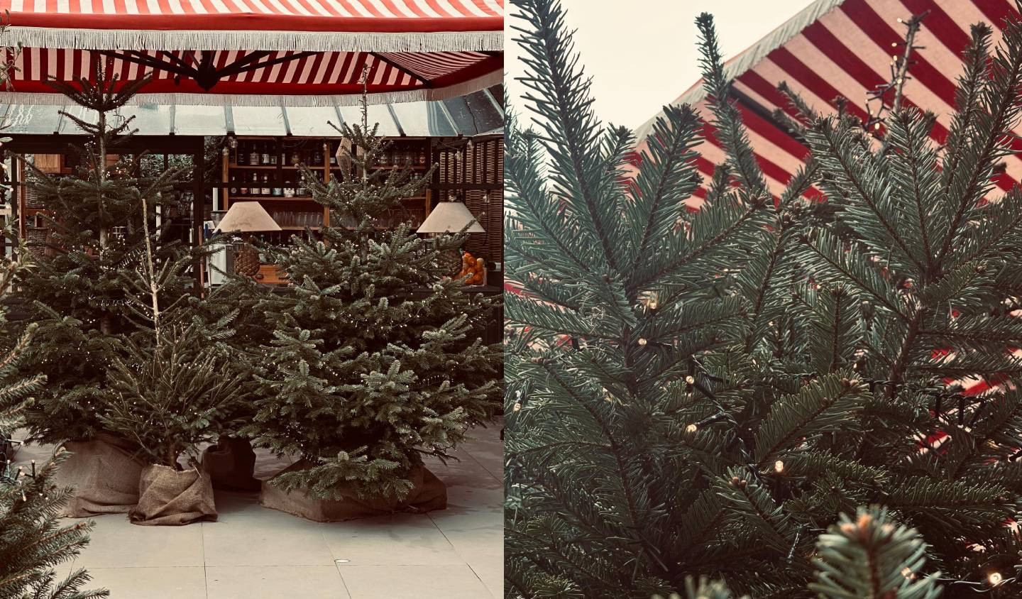 media.natale-marittimomima